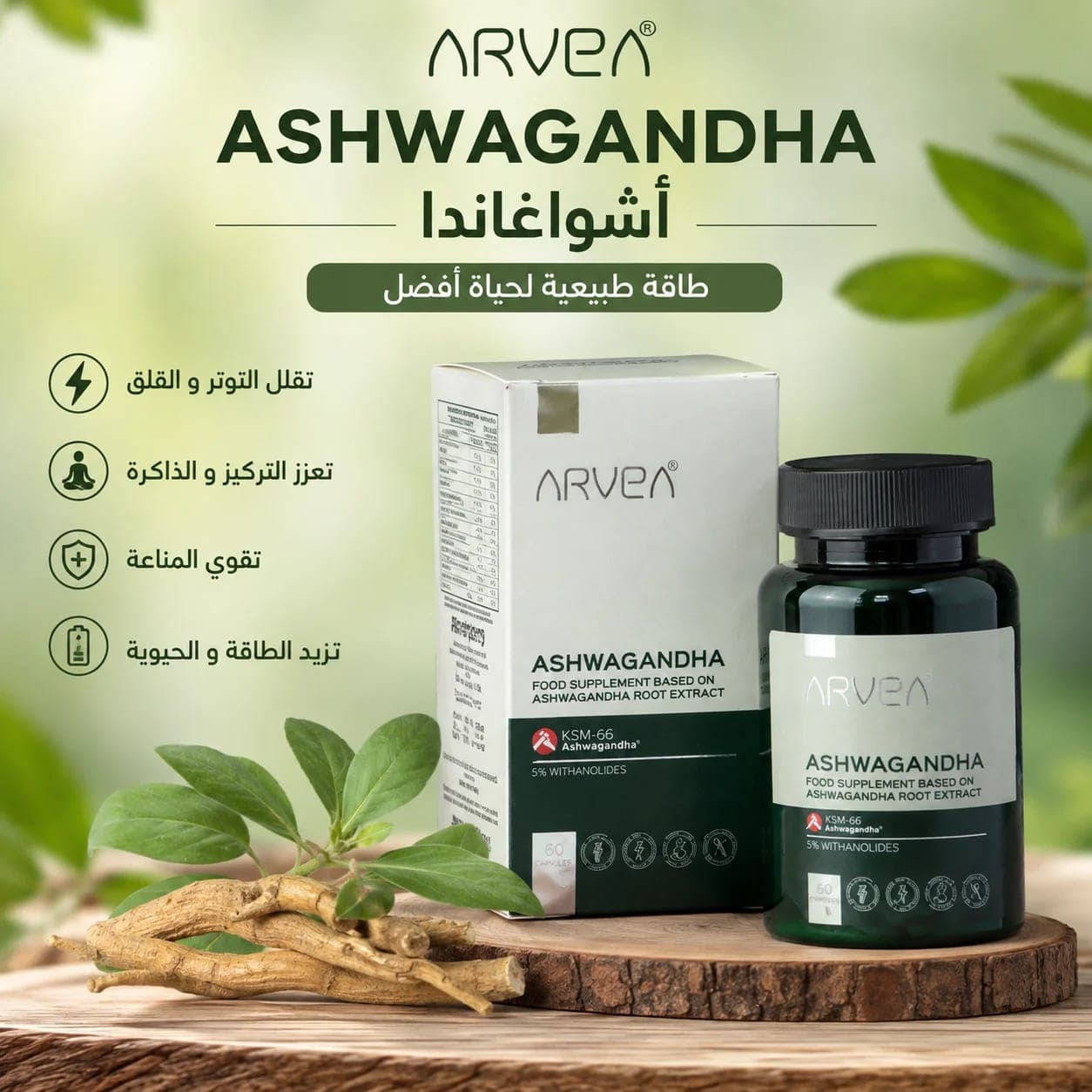 🌿 أشواغاندا ARVEA KSM-66 | 60 كبسولة